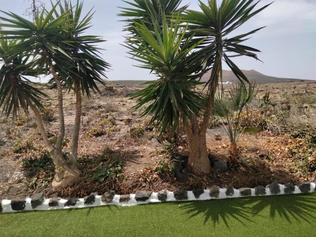 Lanzarote Casa Volcanica-Anclada Sobre La Lava Del Volcan Montana Blanca 외부 사진