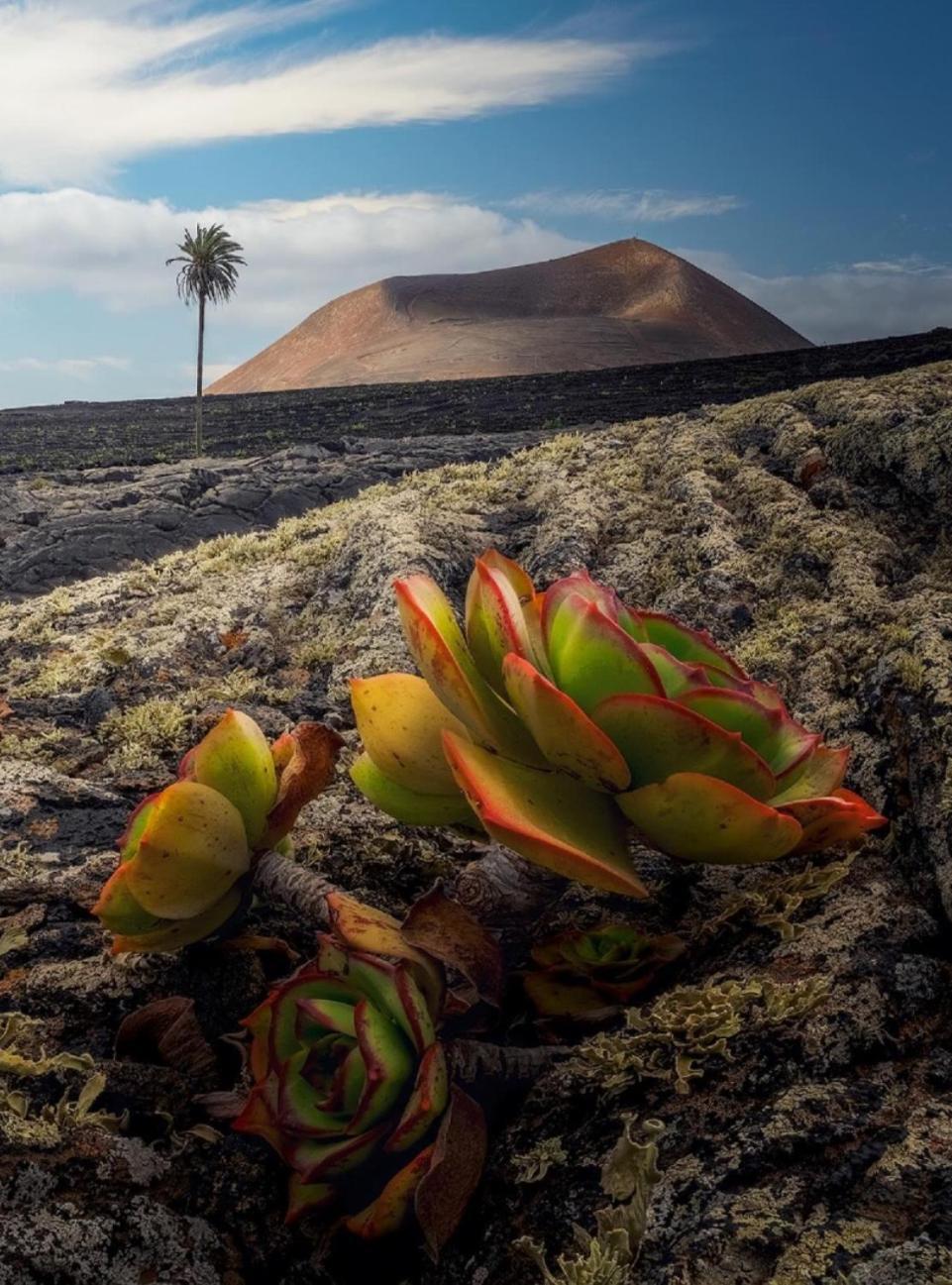 Lanzarote Casa Volcanica-Anclada Sobre La Lava Del Volcan Montana Blanca 외부 사진